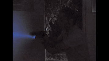 Cinemabrut  GIF