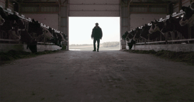 scurry  GIF