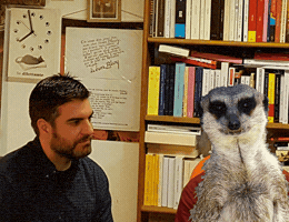 charleneribault  GIF