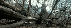 the foreigner fight GIF