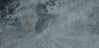 #Koelnerhaie #Torschuetze #Del Tiffels GIF by Kölner Haie