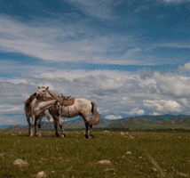 kikkikkik photography competition perth photographycompetition GIF