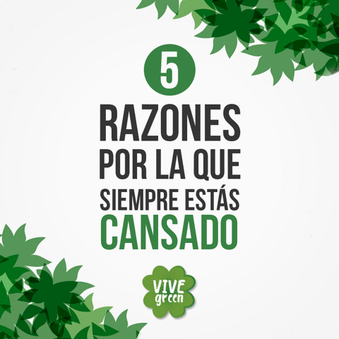 christianlayespinoza vive green GIF