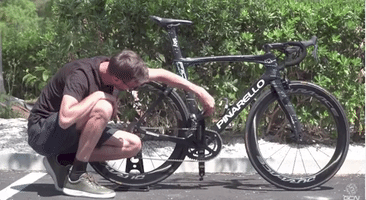 joncannings  GIF