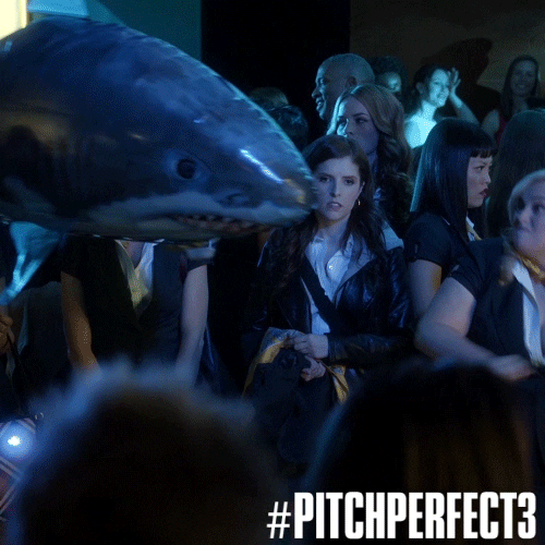 hailee steinfeld GIF by Pitch Perfect