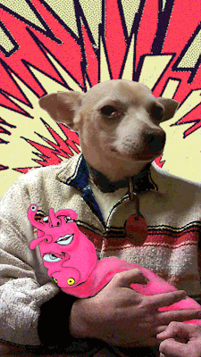 dog pets GIF by Dax Norman
