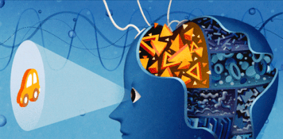 juliayellow illustration science brain vision GIF
