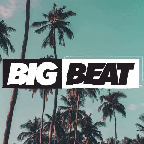 palm trees glitch GIF by Big Beat Records