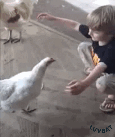 Love GIF