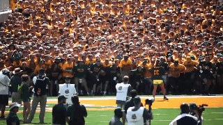 College Football GIF by Baylor University - Find & Share on GIPHY