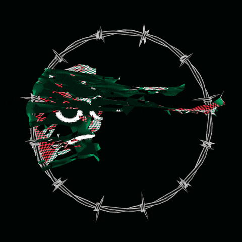 moesuliman wave flag waving me GIF