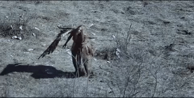 music video guy GIF by Lady Gaga