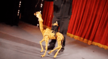 kids puppets GIF by Bob Baker Marionette Theater