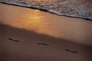 Animation Beach GIF