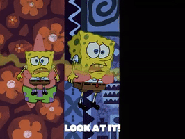 season 2 something smells GIF by SpongeBob SquarePants
