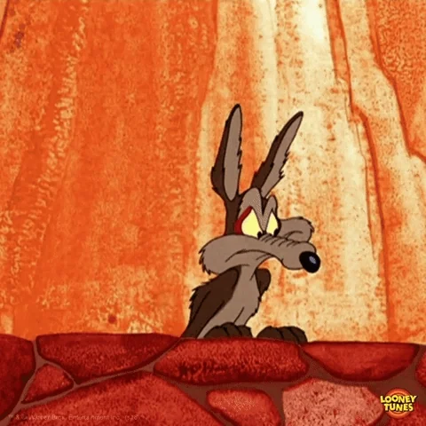 Wile E Coyote Scare GIF