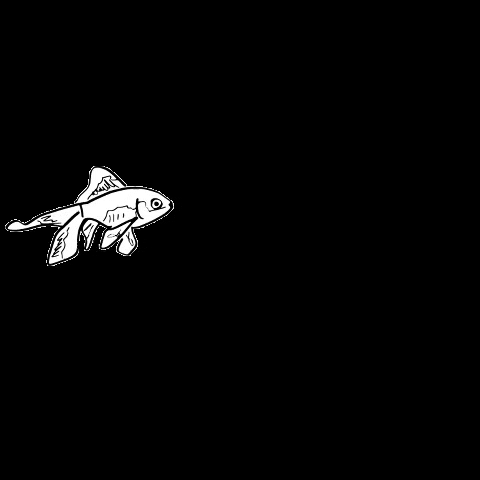 water fish GIF by Colore_g