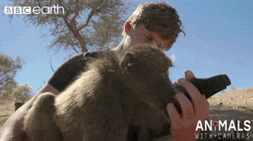 monkey technology GIF by BBC Earth