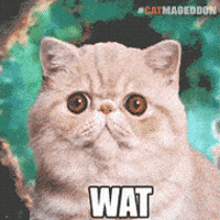 Wat Moet Je Nou GIFs - Get the best GIF on GIPHY