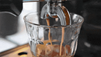 200.gif?cid=fc005b080458ae2316c5c26764545acc2d754f971b8cb379&rid=200.gif&ct=g