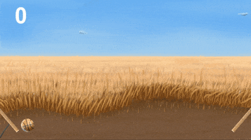 stewartimel  GIF