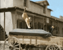 Rin X Sen Hakudaku Onna Kyoushi To Yaroudomo GIFs - Find ...