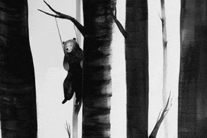 chiara_dattola #orso #intheforest #dentrolaforesta #chiaradattola #movingdrawings GIF