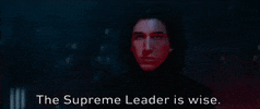 Episode 7 The Supreme Leader Is Wise GIF by Star Wars