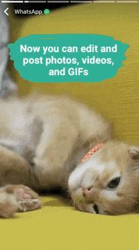Conversacion-whatsapp GIFs - Get the best GIF on GIPHY
