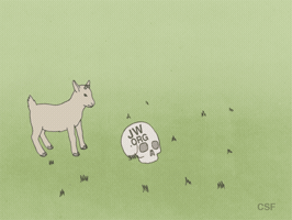 christianfreedom  GIF