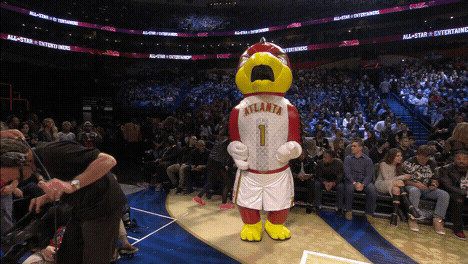 Hawks Mascot GIFs - Get the best GIF on GIPHY