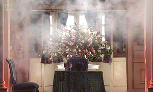 ll lady gaga diva gaga GIF