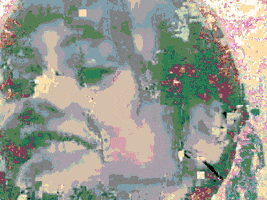 design-kink loop face horse effects GIF