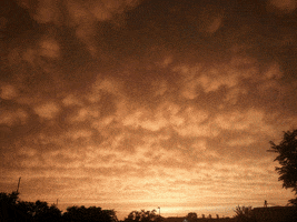 dreams  GIF
