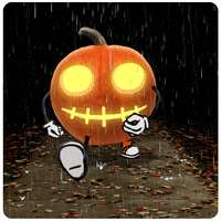 Jack O Lantern Halloween GIF by Chris Timmons