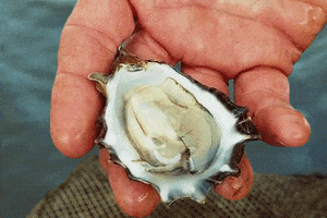 Water Shell GIF by University of California