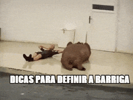 leonardoaraujo  GIF