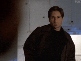 x files GIF by The X-Files