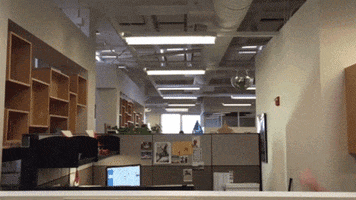 kuow  GIF