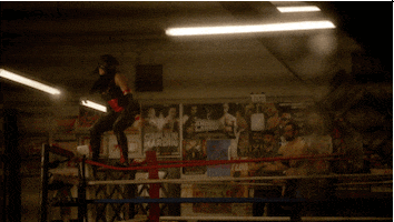 ray donovan boxing GIF by Showtime