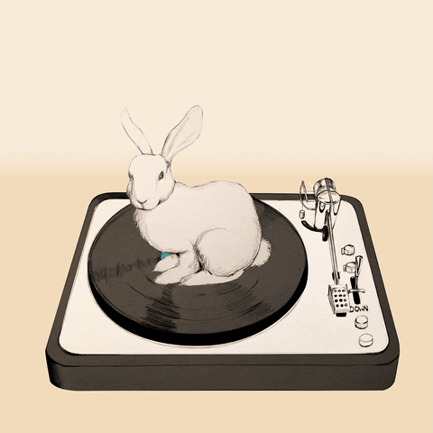 illustration rabbit GIF by Marie Chapuis