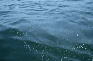 Water Sea GIF by University of California