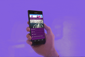 mateuszkoziorowski  GIF