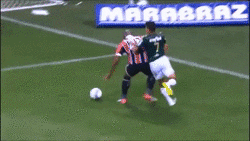 yw5kcmuynta5qgjvbc5jb20uyni dudu palmeiras cavalinho bambi GIF