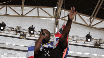 exclaimdotca music festival concert canada GIF
