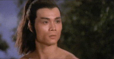 martial arts wtf GIF by Shaw Brothers