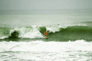 arthurdesouza #barrel GIF