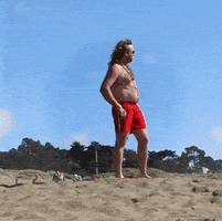 chubbies speedo