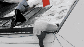 200.gif?cid=fc005b08409e6d430c460f0b67caaed86a317156af512aca&rid=200.gif&ct=g