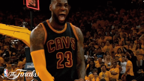 Lebron James Reaction GIF by NBA - Find & Share on GIPHY